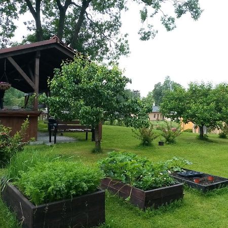 MiJa apartmán s VINNÝM SKLÍPKEM, zahradou a grilem Kájov Exterior foto
