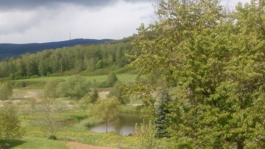 MiJa apartmán s VINNÝM SKLÍPKEM, zahradou a grilem Kájov Exterior foto