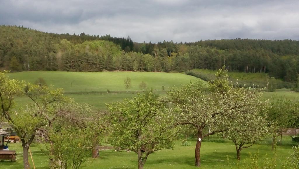 MiJa apartmán s VINNÝM SKLÍPKEM, zahradou a grilem Kájov Exterior foto