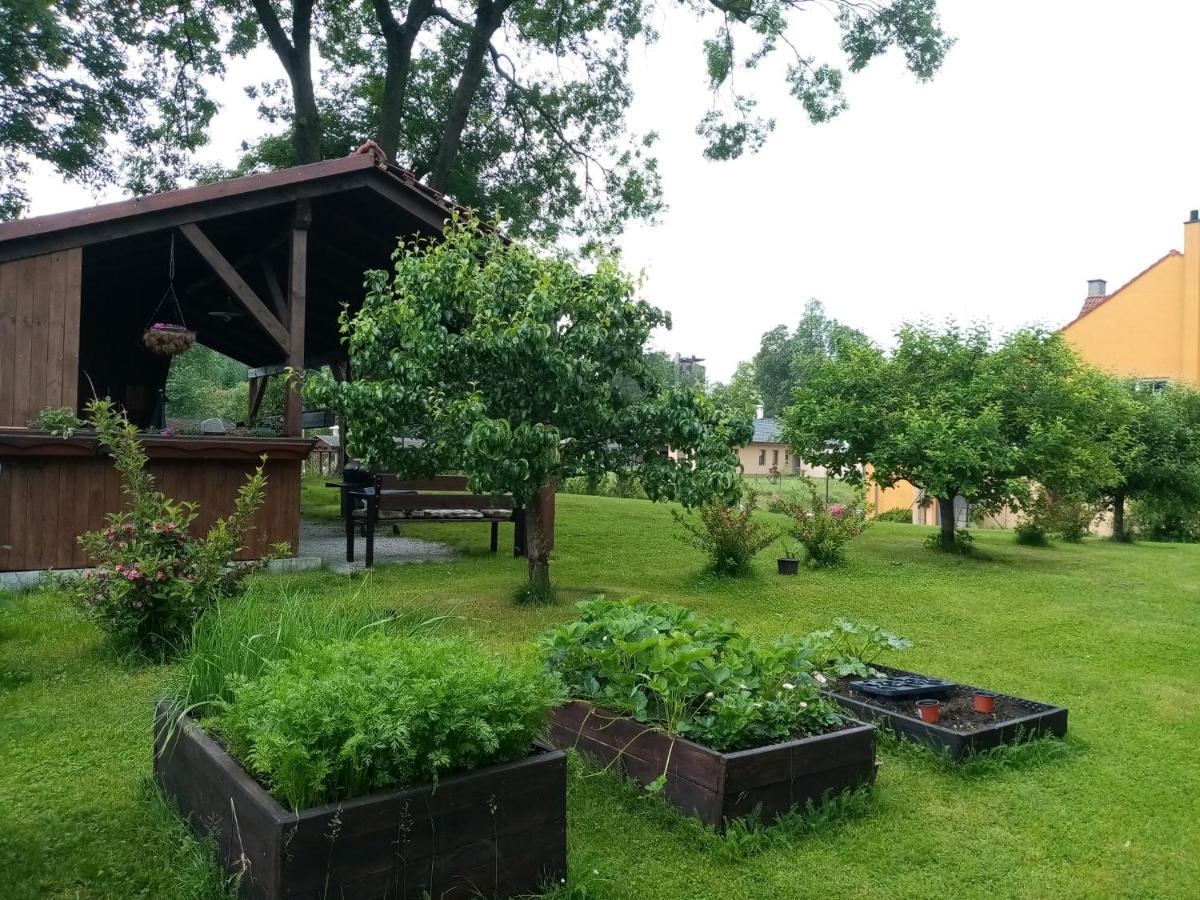 MiJa apartmán s VINNÝM SKLÍPKEM, zahradou a grilem Kájov Exterior foto